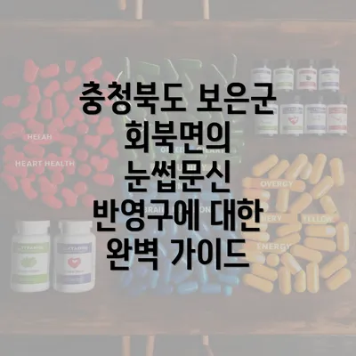 충청북도 보은군 회북면의 눈썹문신 반영구에 대한 완벽 가이드