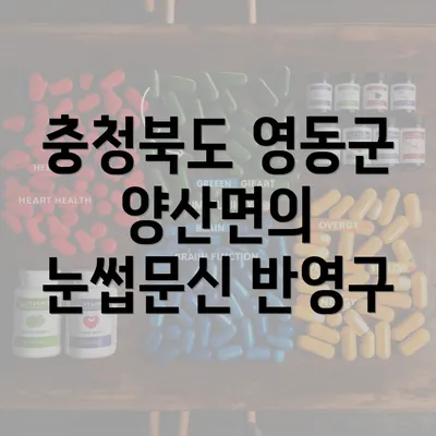 충청북도 영동군 양산면의 눈썹문신 반영구