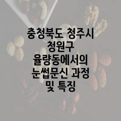 충청북도 청주시 청원구 율량동에서의 눈썹문신 과정 및 특징