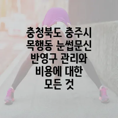 충청북도 충주시 목행동 눈썹문신 반영구 관리와 비용에 대한 모든 것