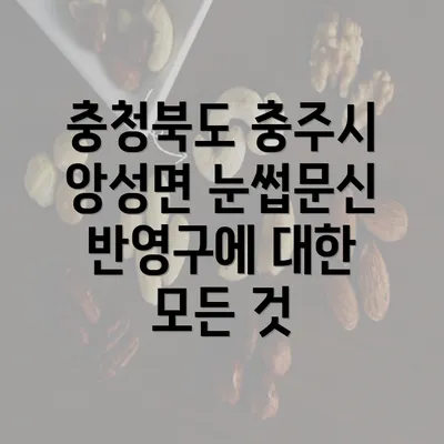 충청북도 충주시 앙성면 눈썹문신 반영구에 대한 모든 것