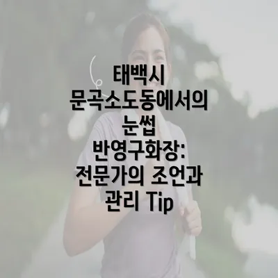 태백시 문곡소도동에서의 눈썹 반영구화장: 전문가의 조언과 관리 Tip