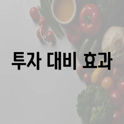 투자 대비 효과