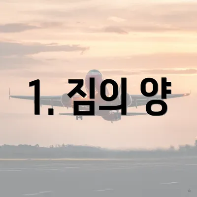 1. 짐의 양