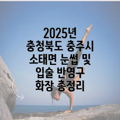 2025년 충청북도 충주시 소태면 눈썹 및 입술 반영구 화장 총정리