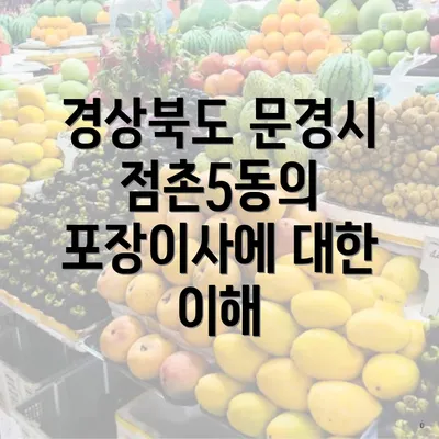 경상북도 문경시 점촌5동의 포장이사에 대한 이해