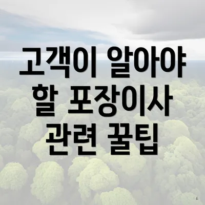 고객이 알아야 할 포장이사 관련 꿀팁