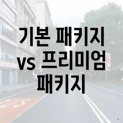 기본 패키지 vs 프리미엄 패키지