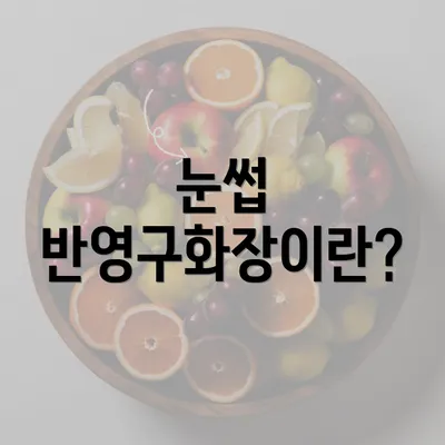 눈썹 반영구화장이란?