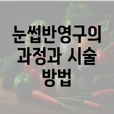 눈썹반영구의 과정과 시술 방법