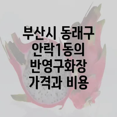 부산시 동래구 안락1동의 반영구화장 가격과 비용