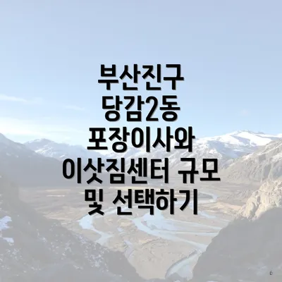 부산진구 당감2동 포장이사와 이삿짐센터 규모 및 선택하기