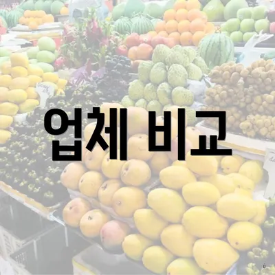 업체 비교