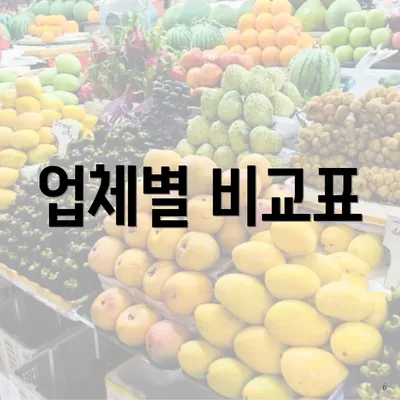 업체별 비교표