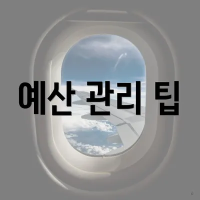 예산 관리 팁