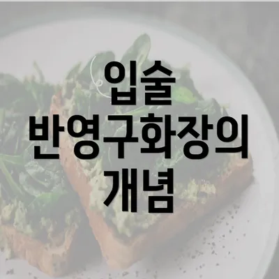 입술 반영구화장의 개념