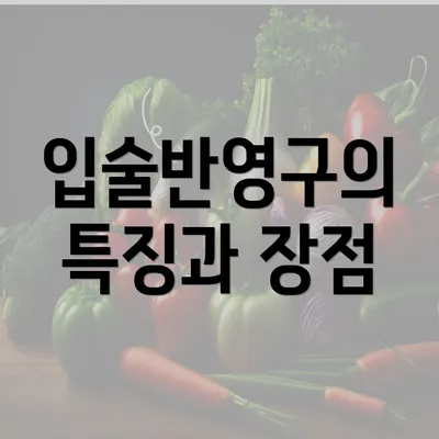 입술반영구의 특징과 장점