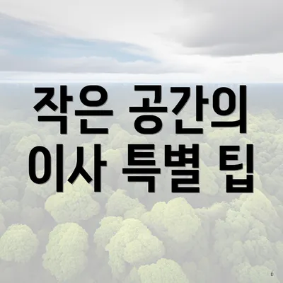 작은 공간의 이사 특별 팁