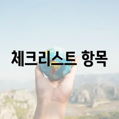 체크리스트 항목