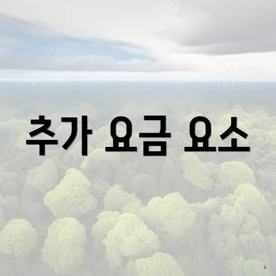 추가 요금 요소