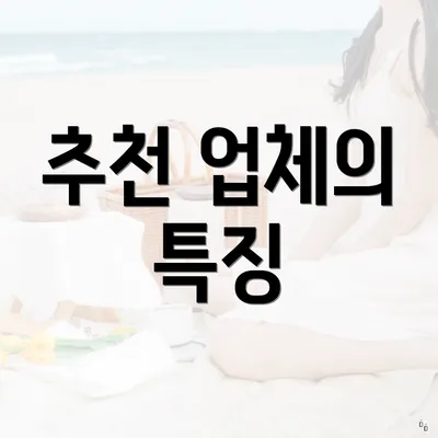 추천 업체의 특징