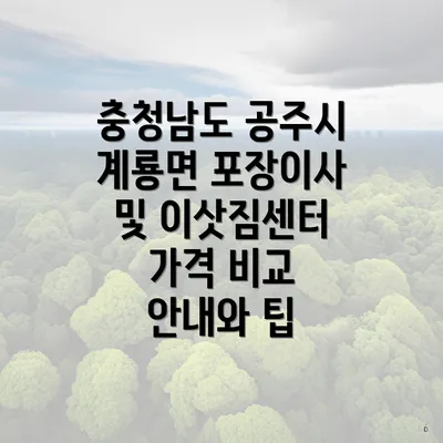 충청남도 공주시 계룡면 포장이사 및 이삿짐센터 가격 비교 안내와 팁